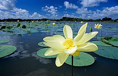 《寂静岭：飞升》新预告欣赏 身处恐怖之地躲避怪物