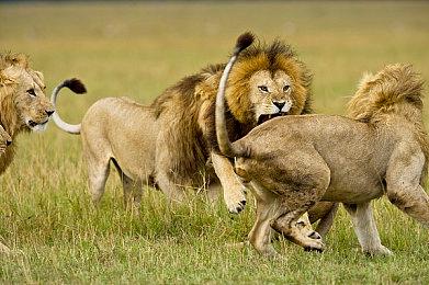 JRPG《遗产传奇》HD复刻版公布 明年推出