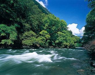 分析称《剑星》PC版超过63%玩家来自中国